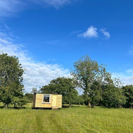 Off Grid Shepherds Hut Hotel Llansilin Ngoại thất bức ảnh